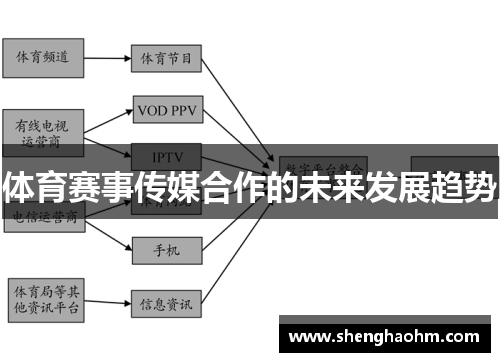 体育赛事传媒合作的未来发展趋势